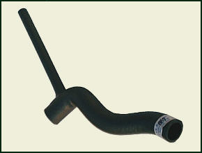 Kühlerschlauch unten, mit Abzweig